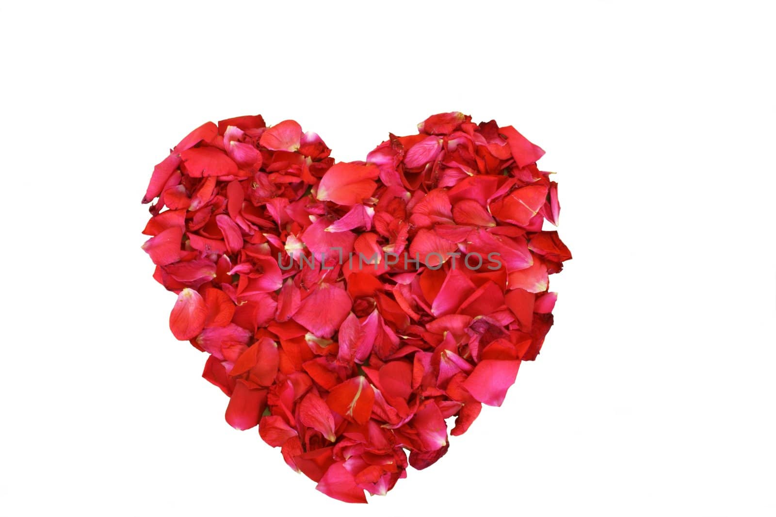 Red petals roses heart in isolated over white