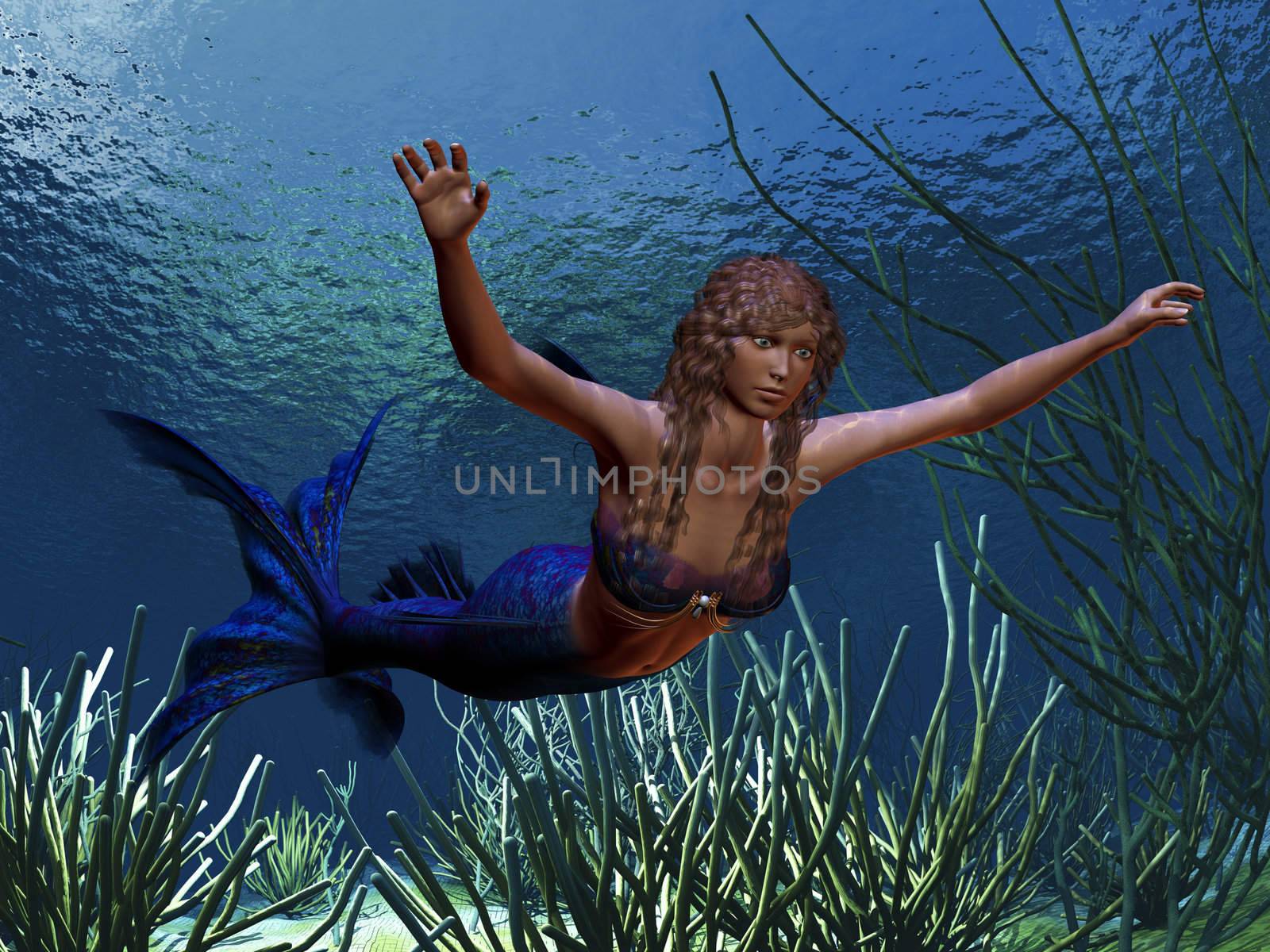 A beautiful blue tailed mermaid swims along a coral reef.