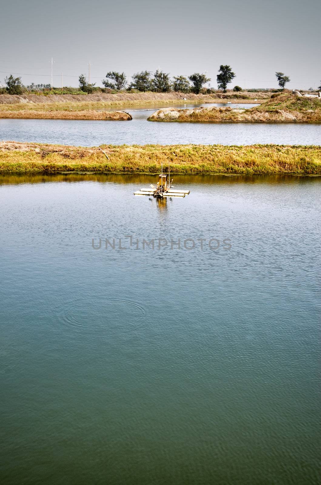 Landscape of fish pond with water wheel on water.