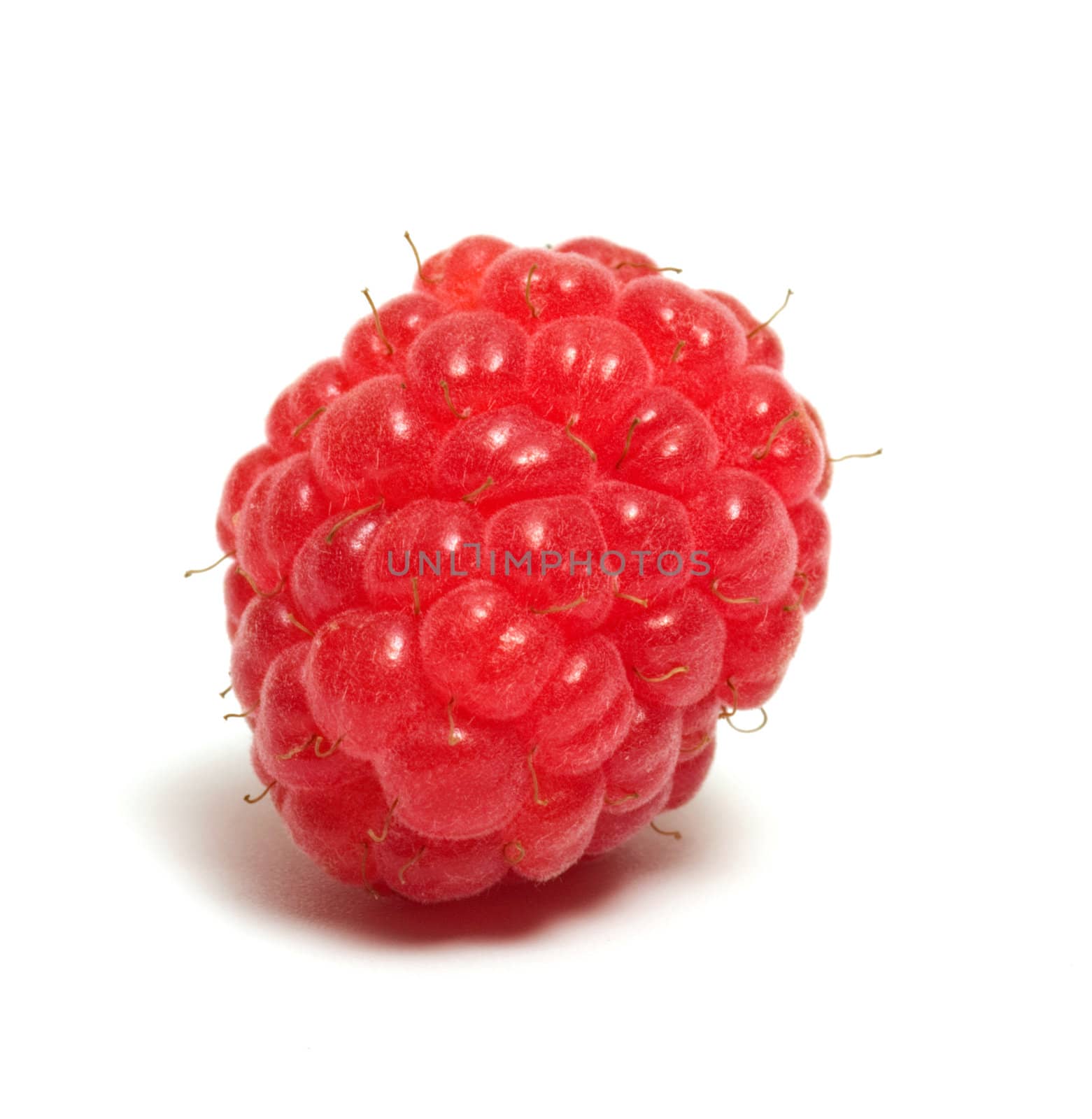 Raspberry closeup isolated on a white background.