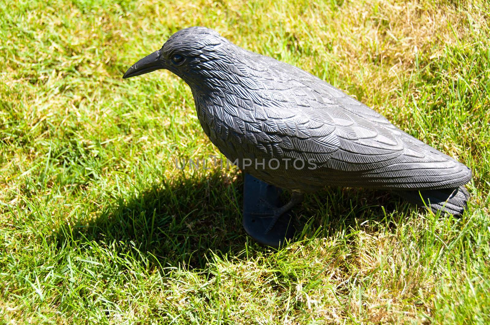 Black plastic bird acting as a scarecrow sitting in the meadow