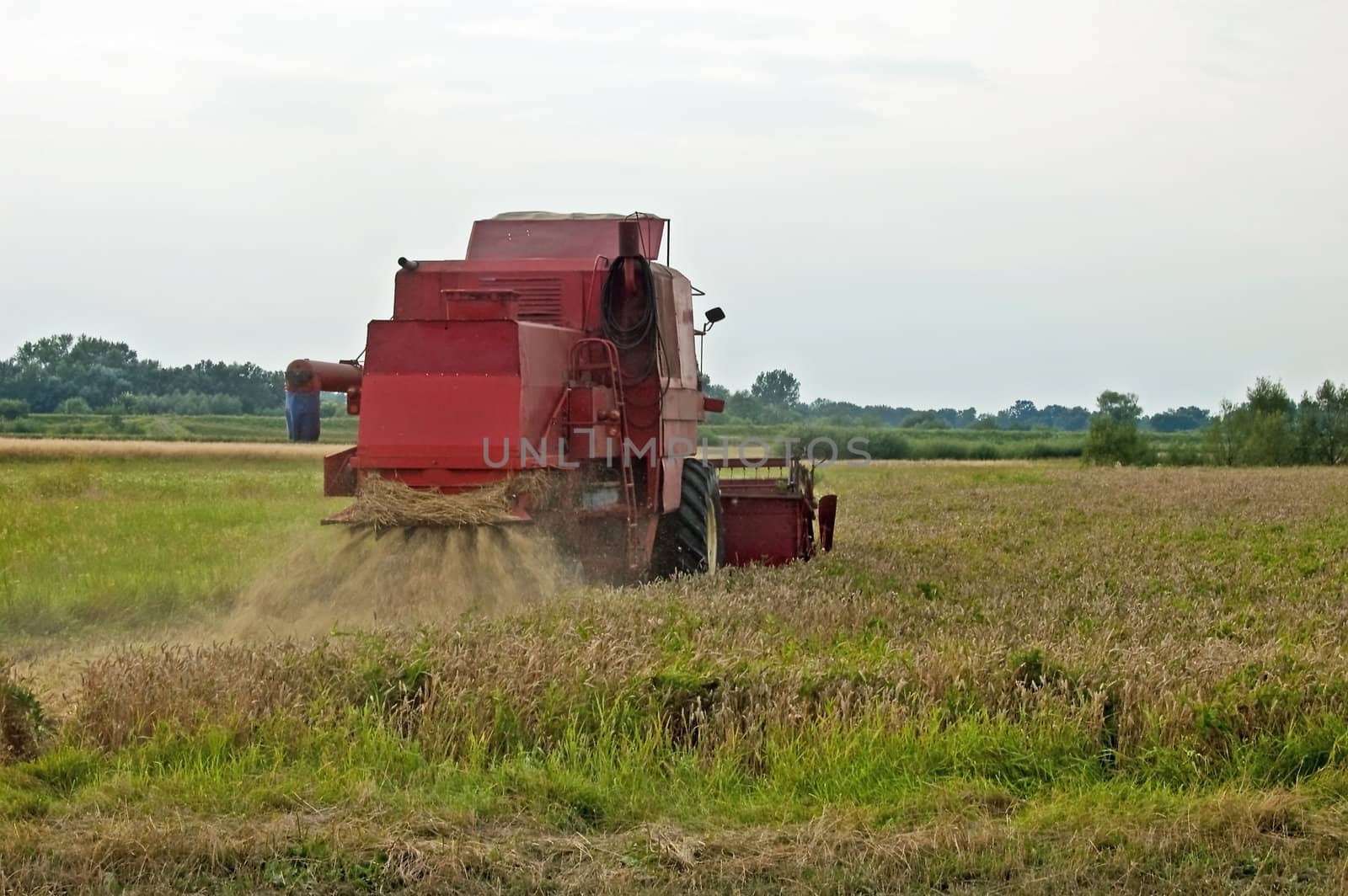 A combine harvester doing his work on a wheat field.