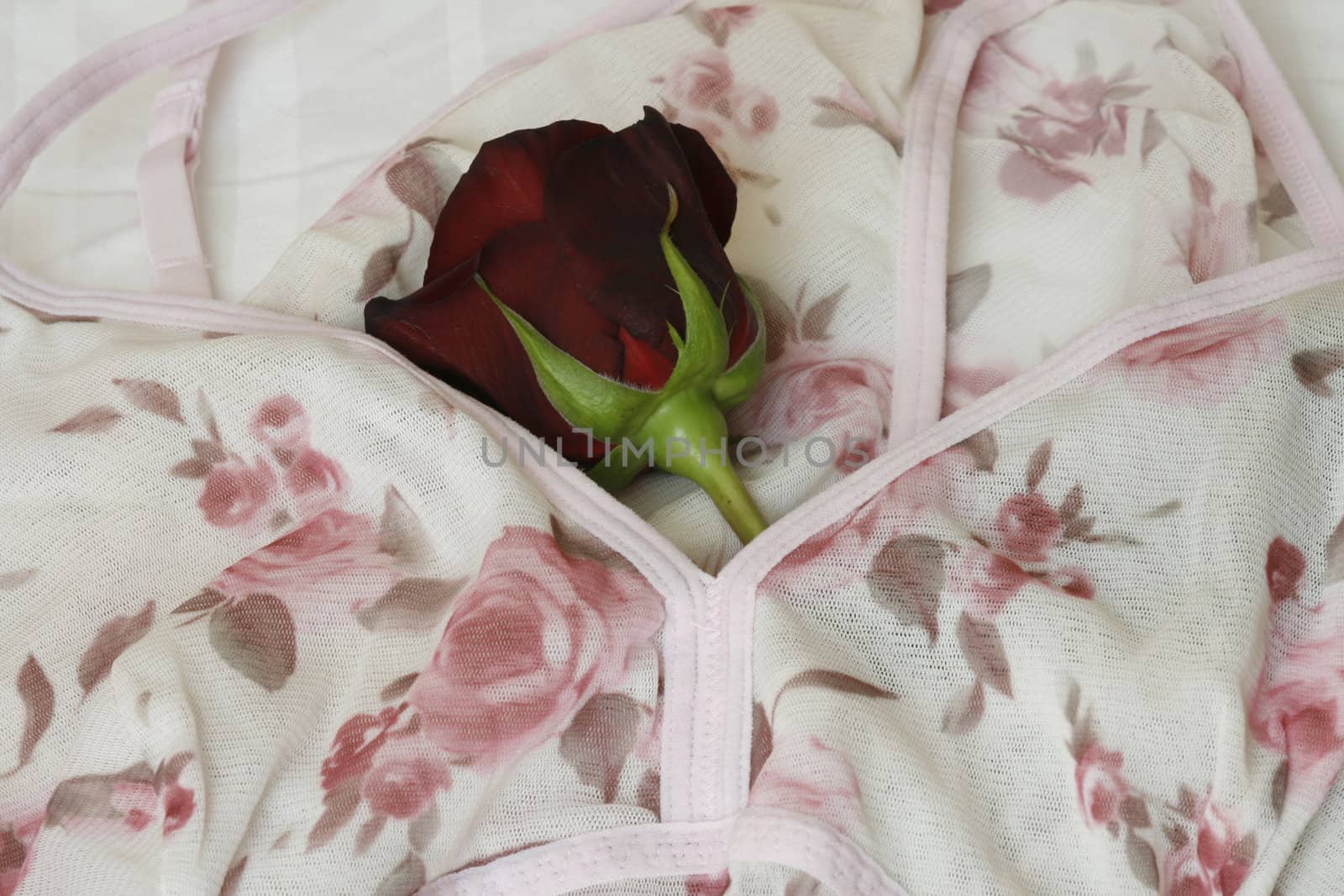 printet underwear with rose