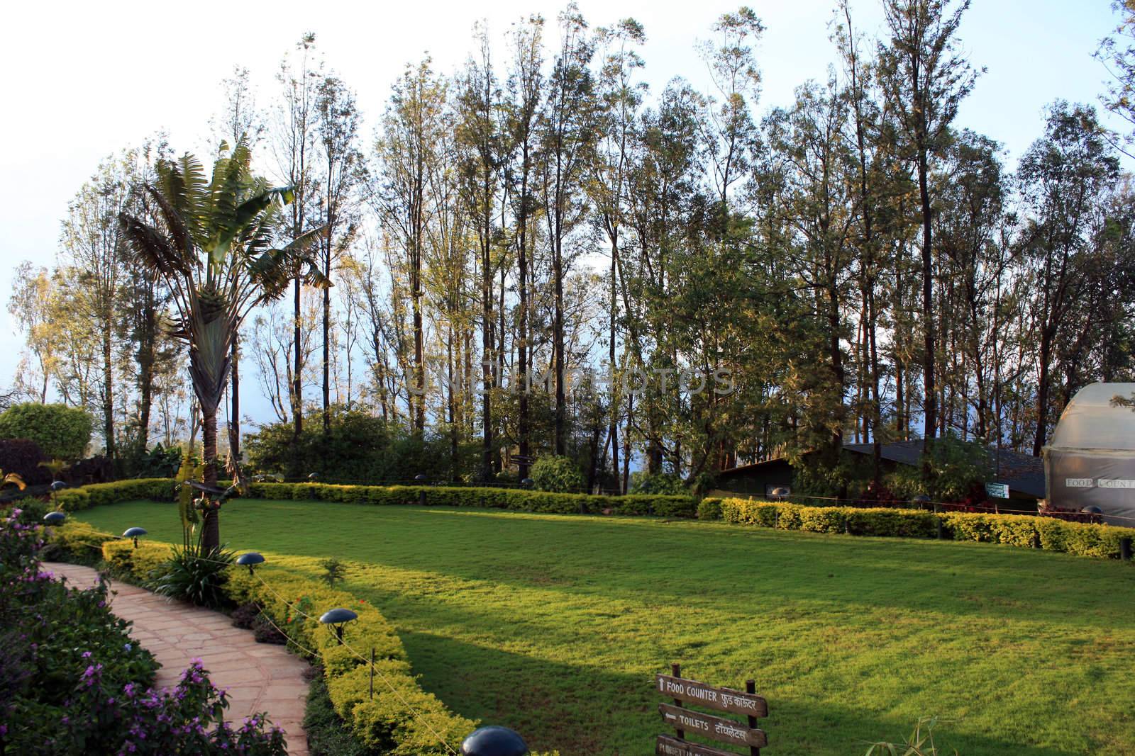 A background of a beautifully landscaped garden on an Indian hill-station.