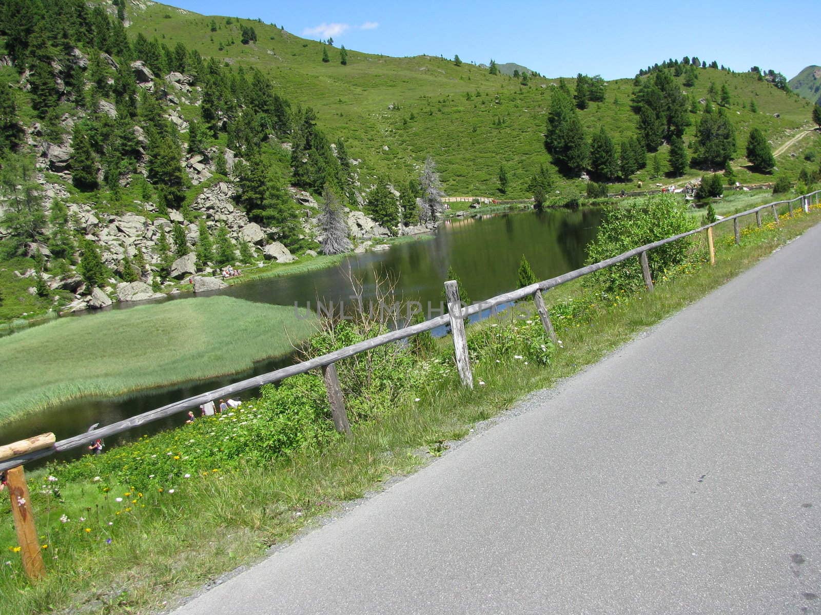 beautiful lake near a street