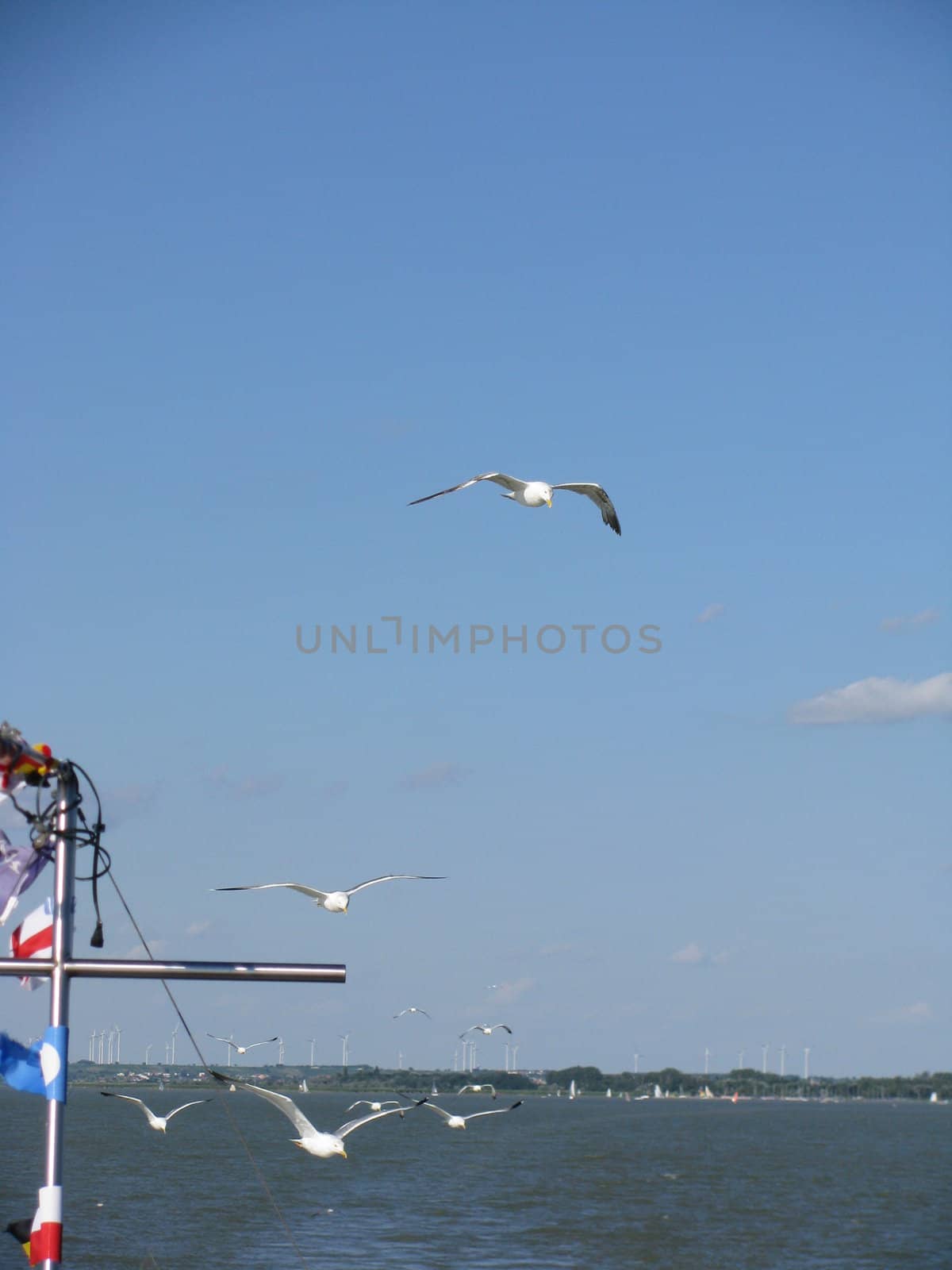 ship with gulls on the air by koep