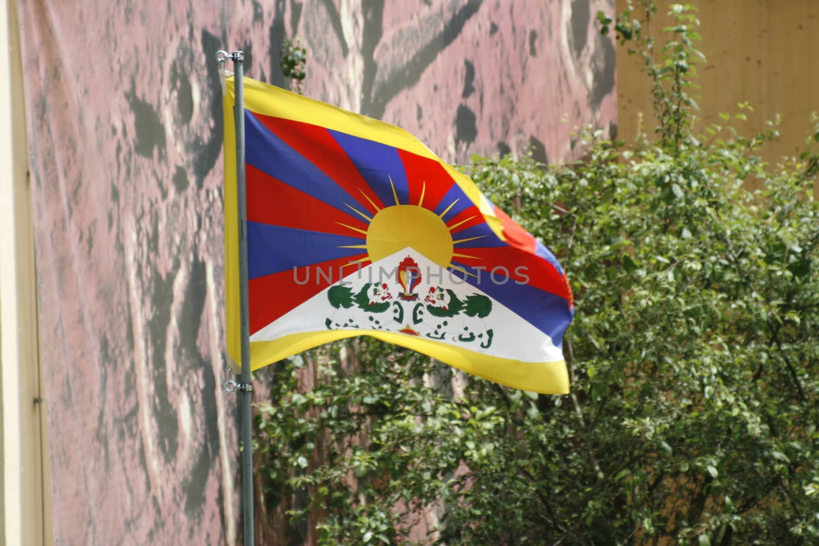 a flag of Tibet