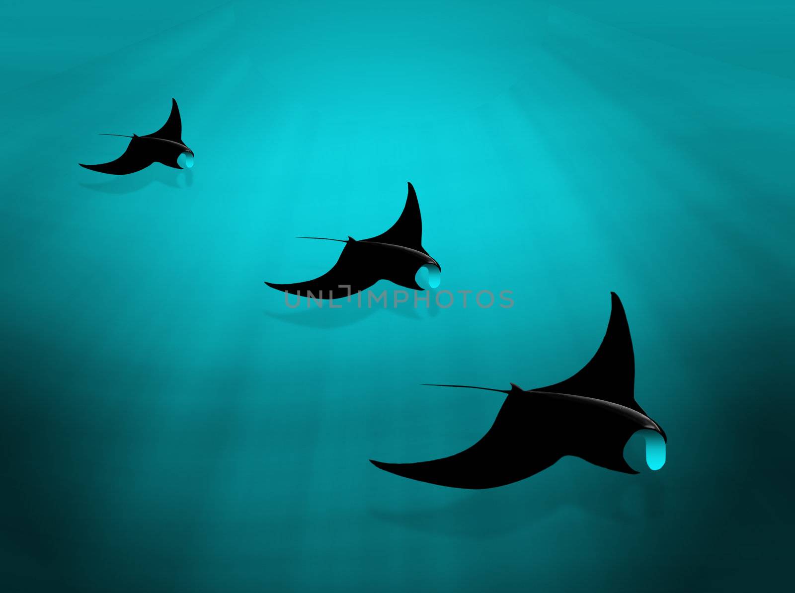 illustration with three manta rays swimming on the seabed