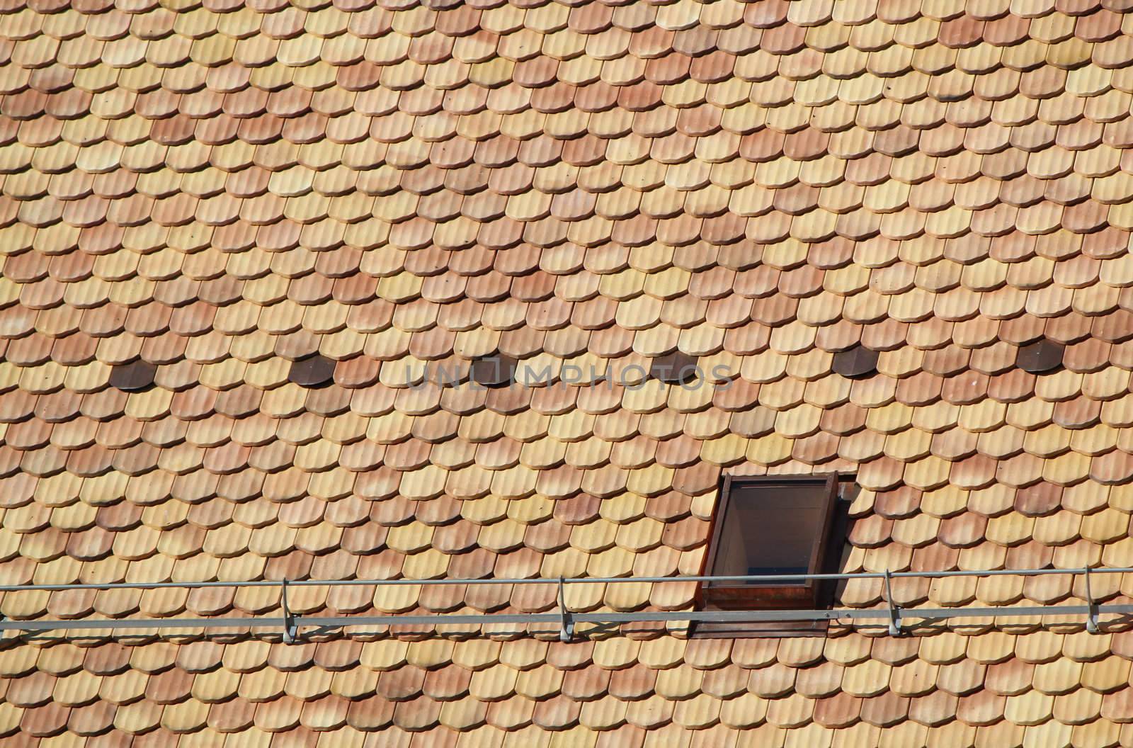 Roof tiles by Elenaphotos21
