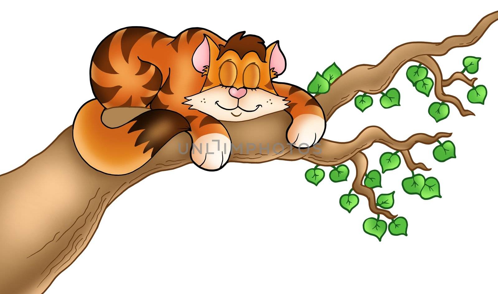 Sleeping cat on tree branch - color illustration.