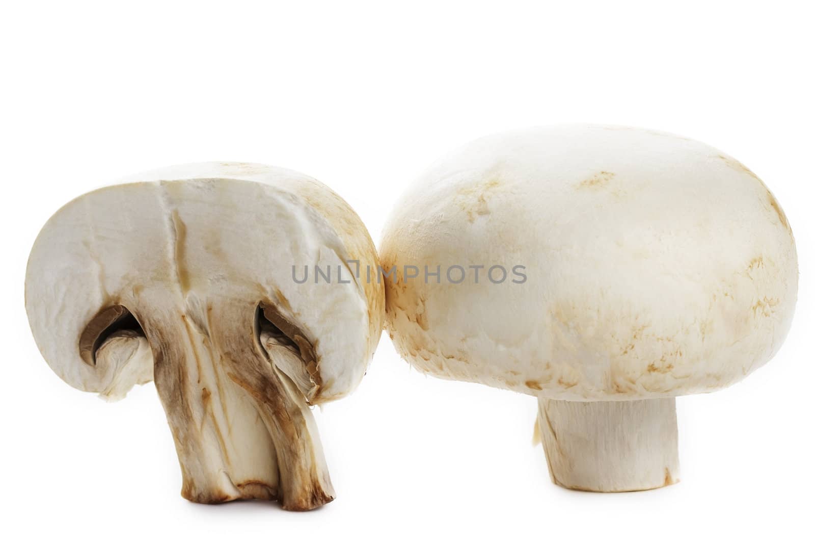 one white mushroom and a half on white background