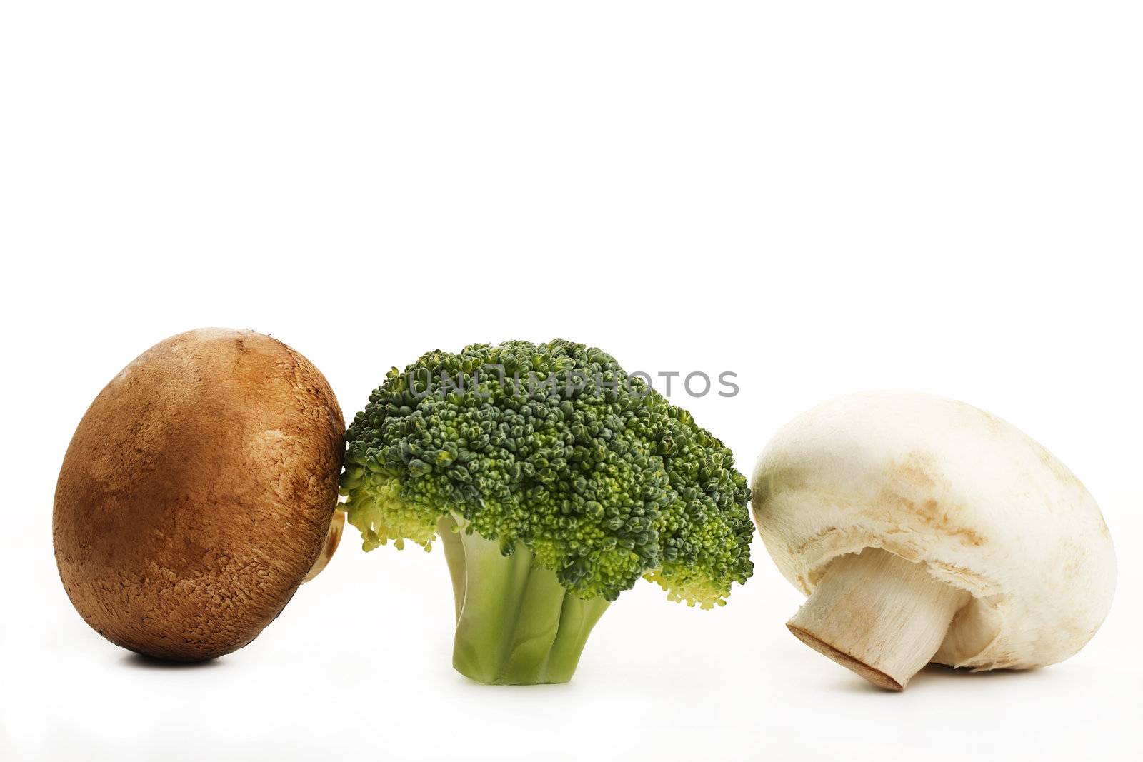 one brown mushroom one broccoli and a white mushroom on white background