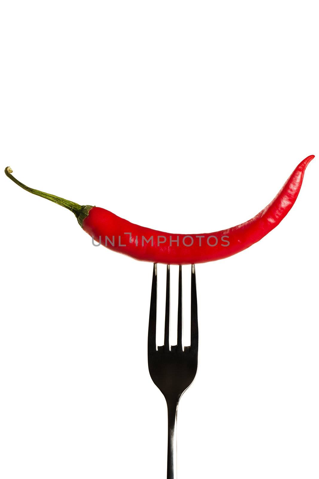 one red chili on a fork on white background