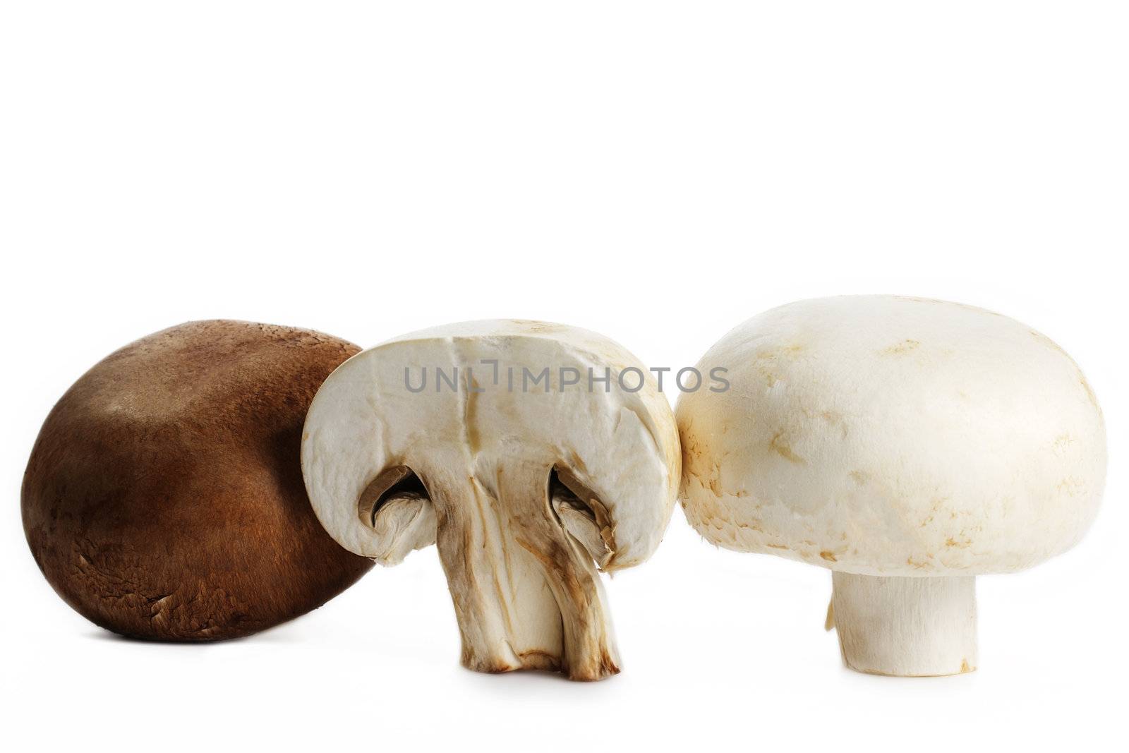 one white one brown and a half mushroom