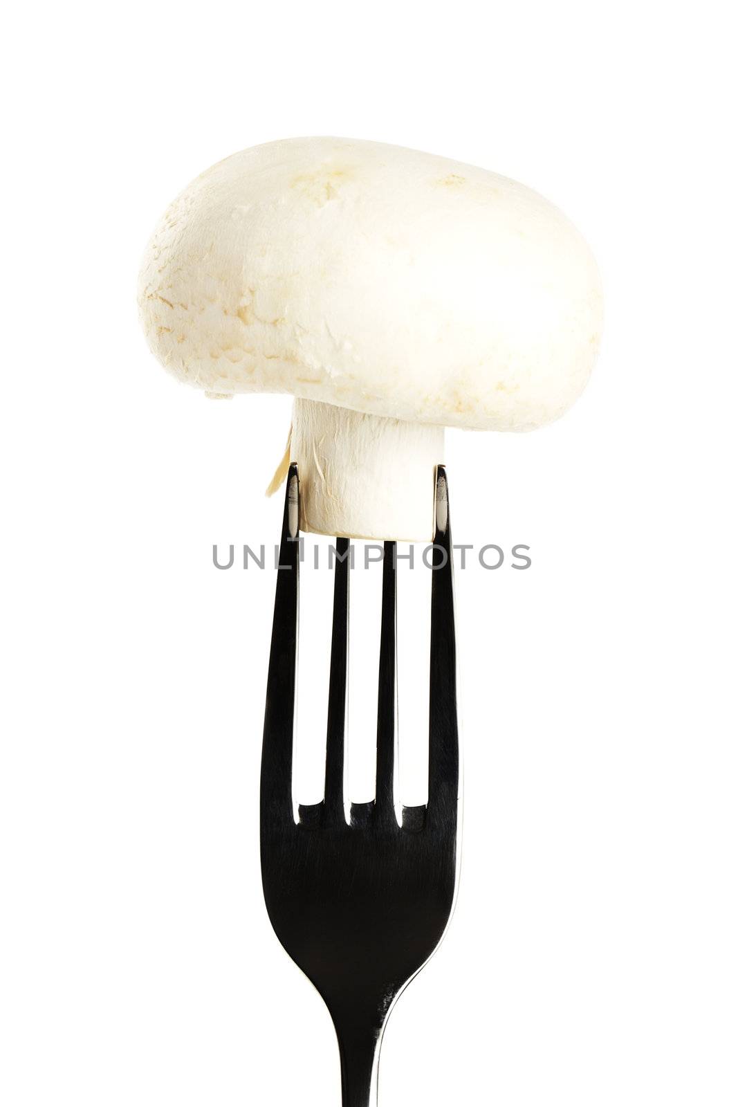 one white mushroom on a fork isolated on white background