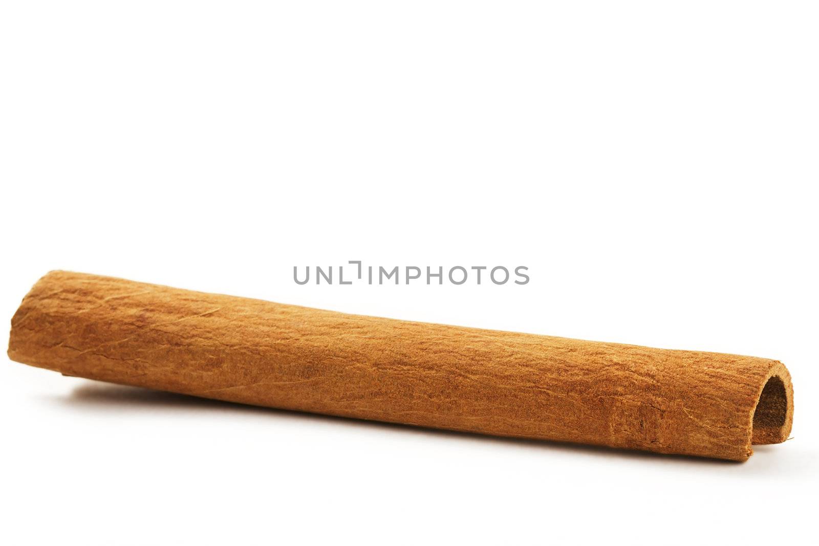 one cinnamon stick on white background