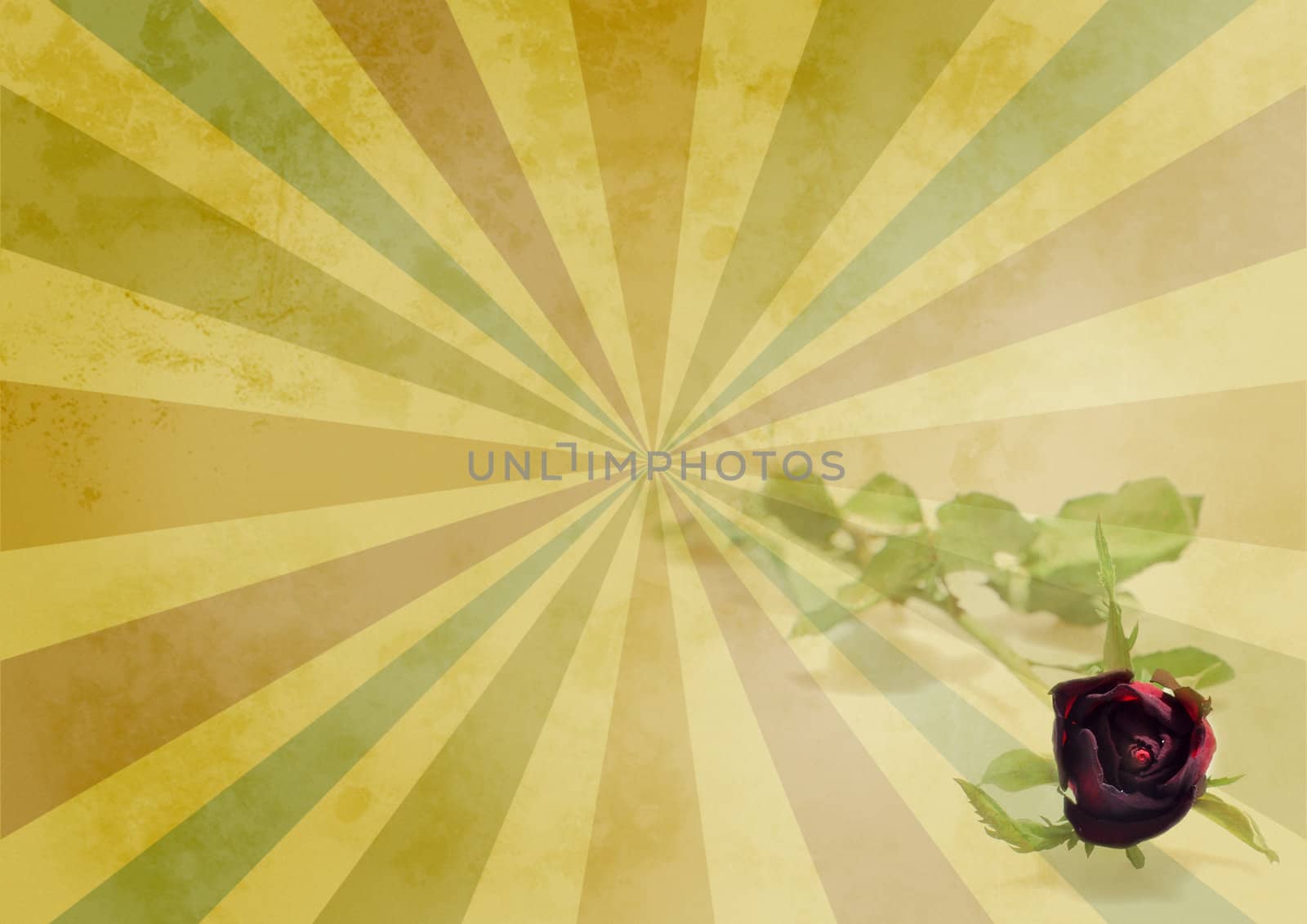 Grungy Background with Rose

