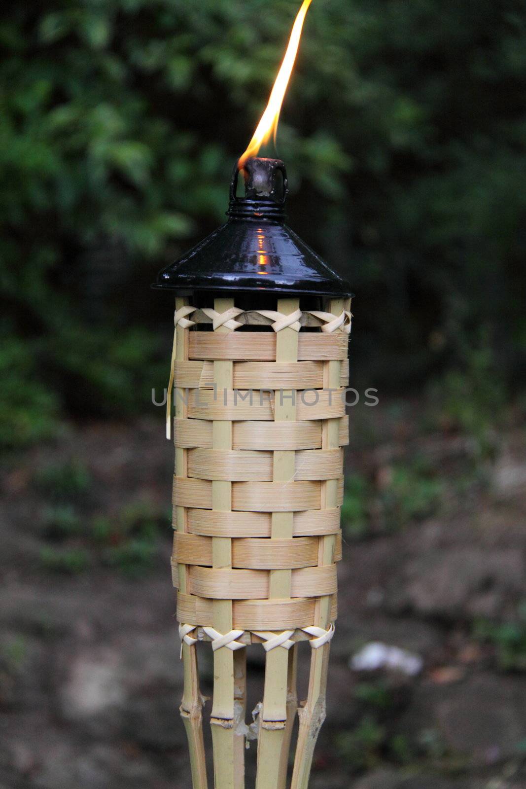 outdoor torch by mitzy
