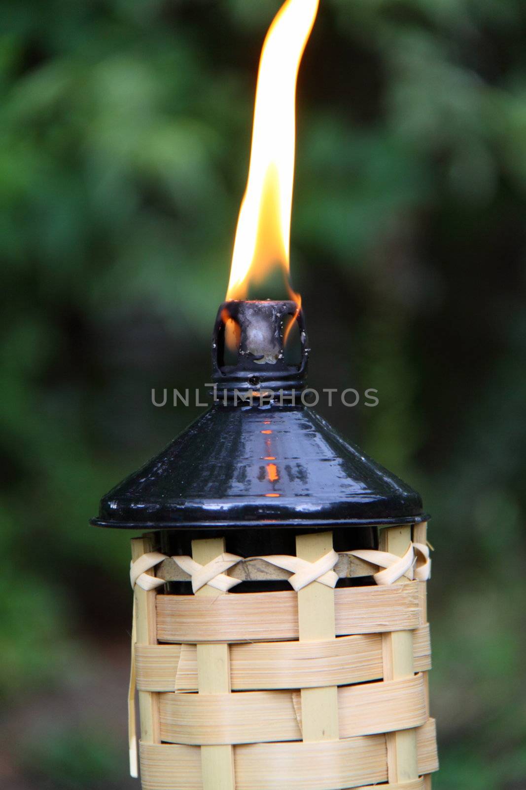 outdoor torch by mitzy