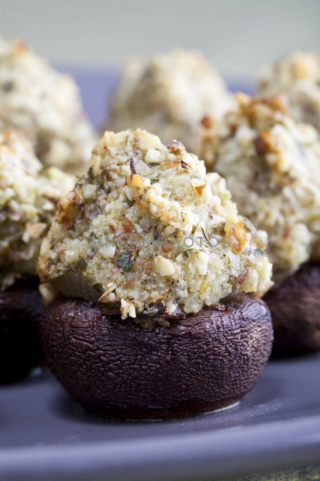 Closeup of fresh stuffed mushroom caps appetizer.