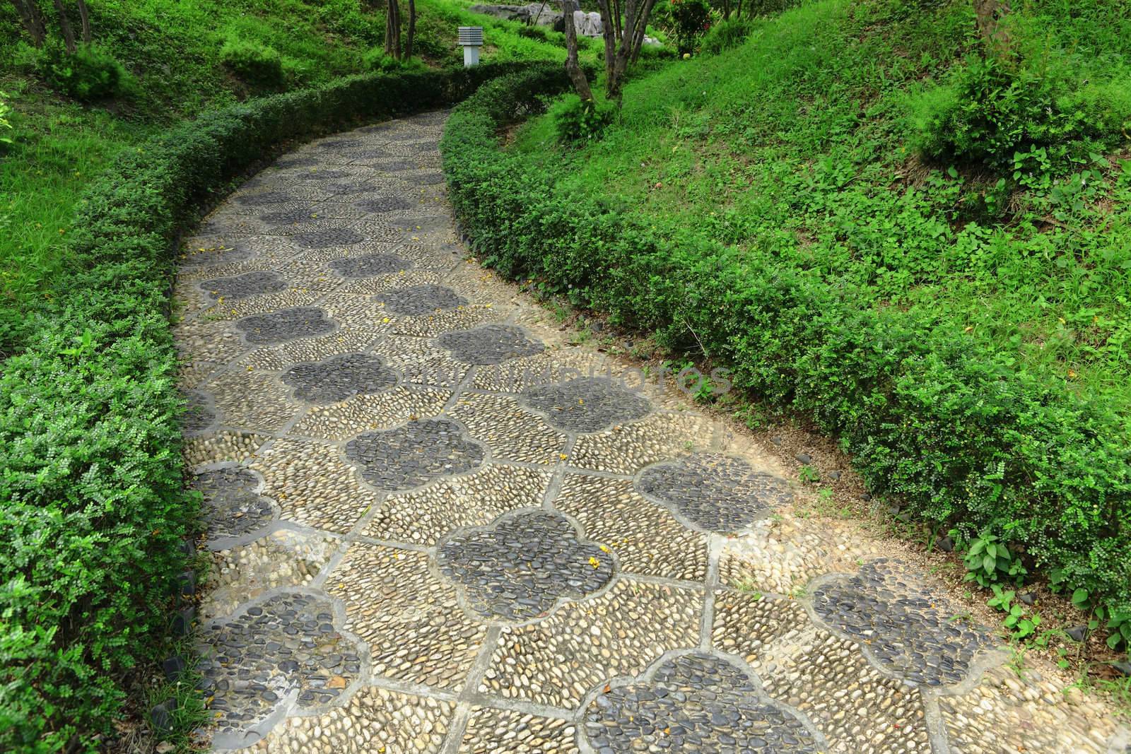 path in chinese garden