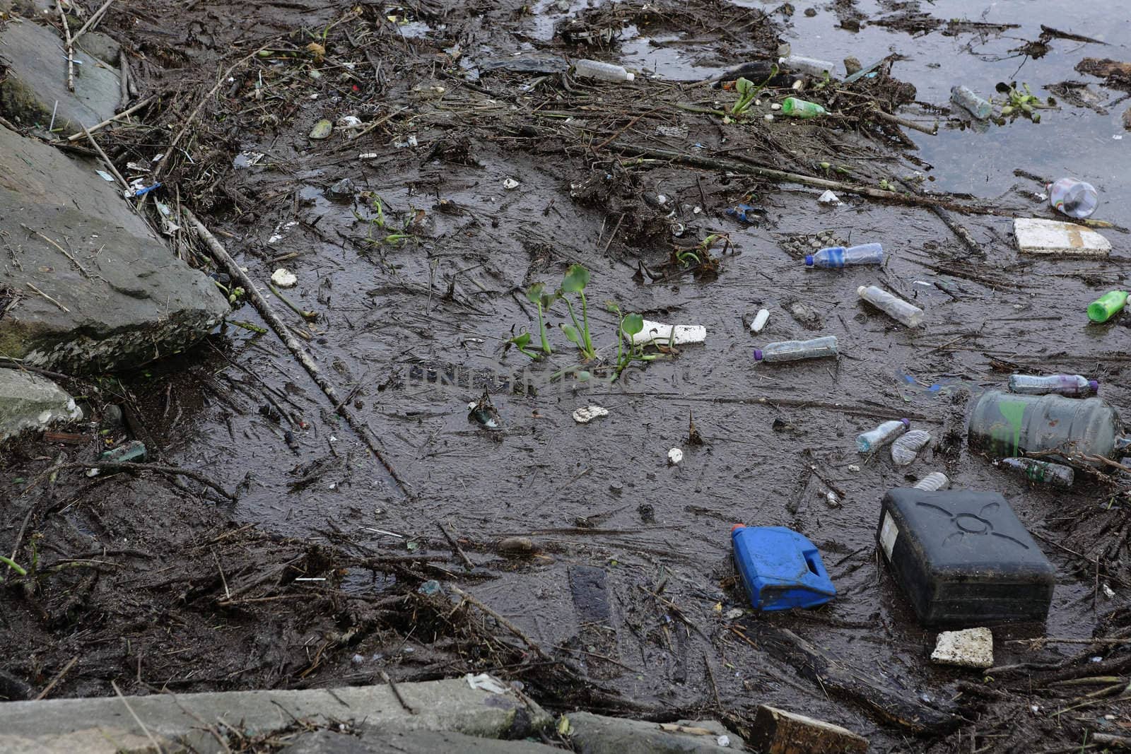 pollution of sea