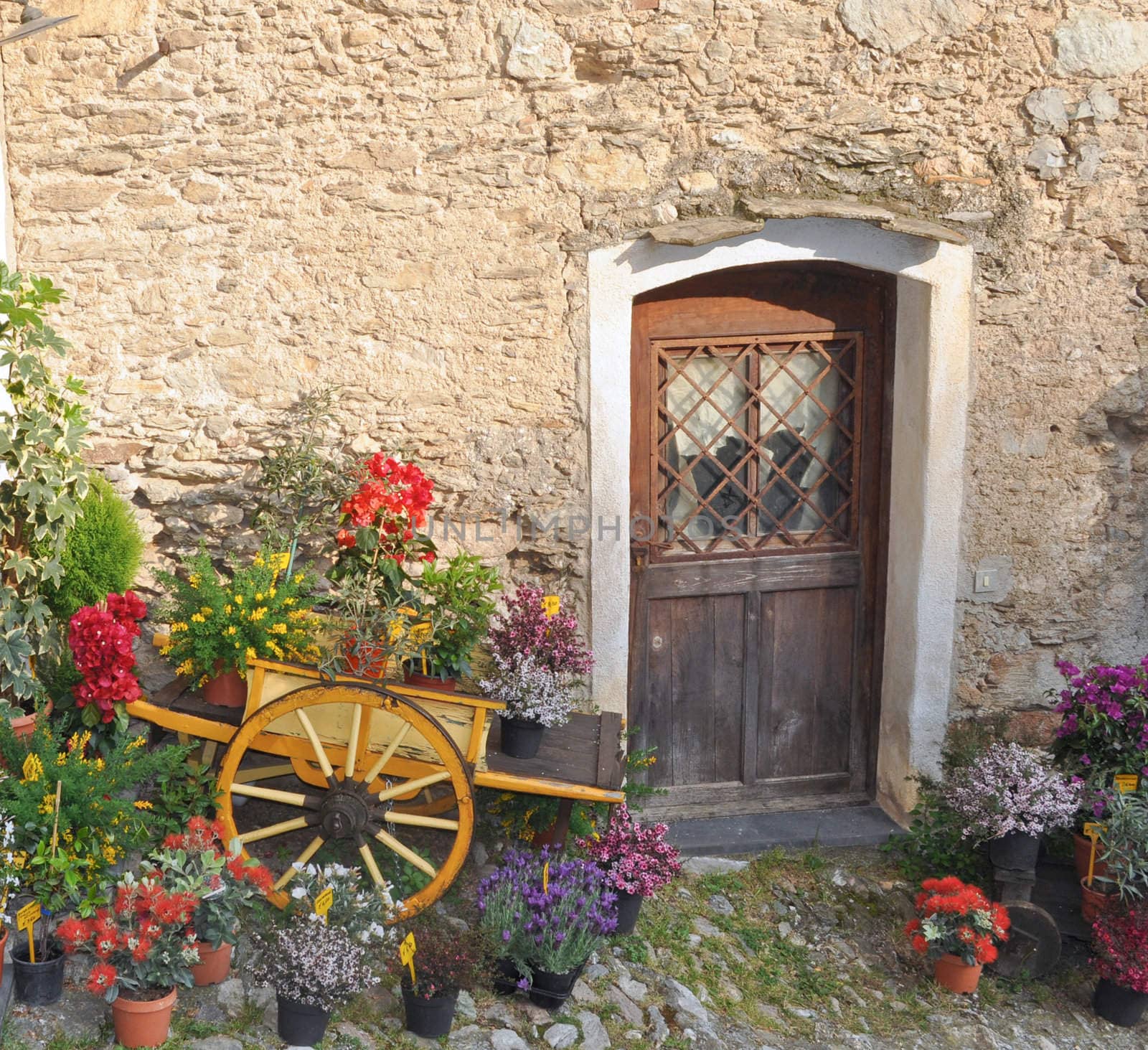 An old wooden door in a wall
