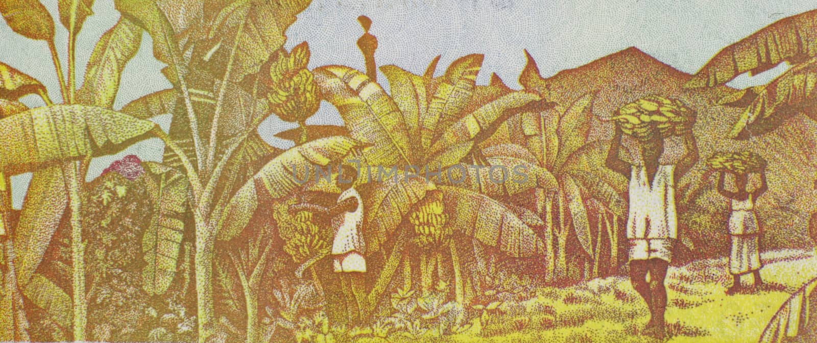 Harvesting Bananas on 100 Francs 1998 Banknote from Guinea.