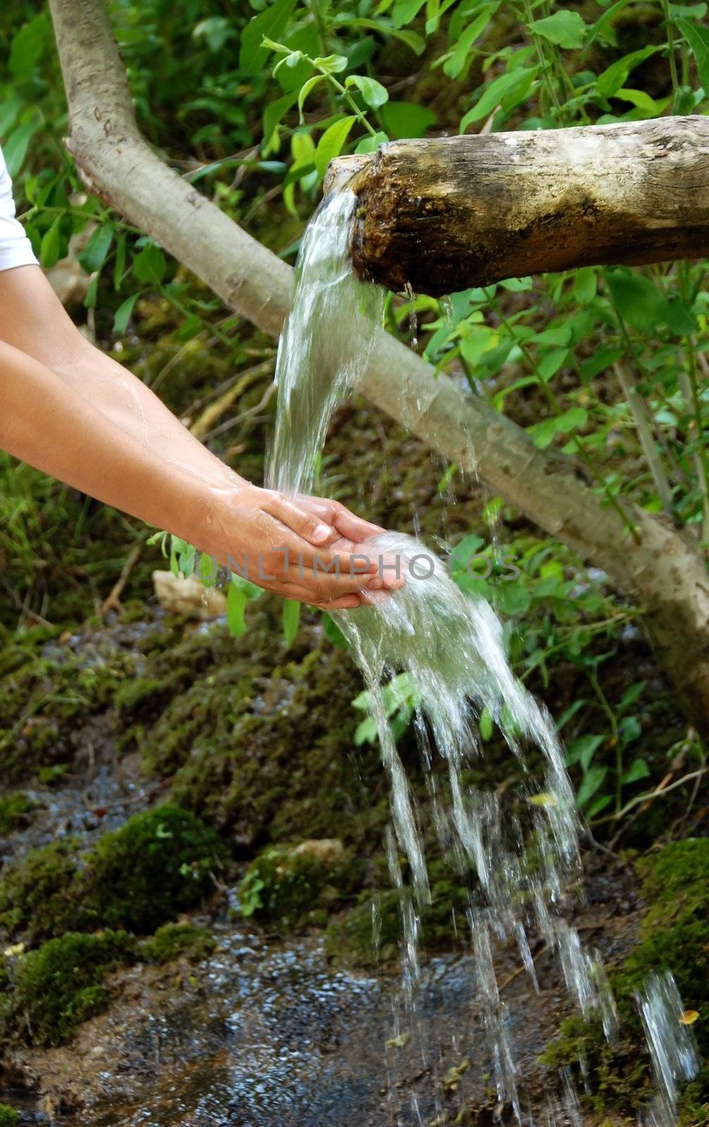 washing hands by spring water under wooden gutter over green natural background
