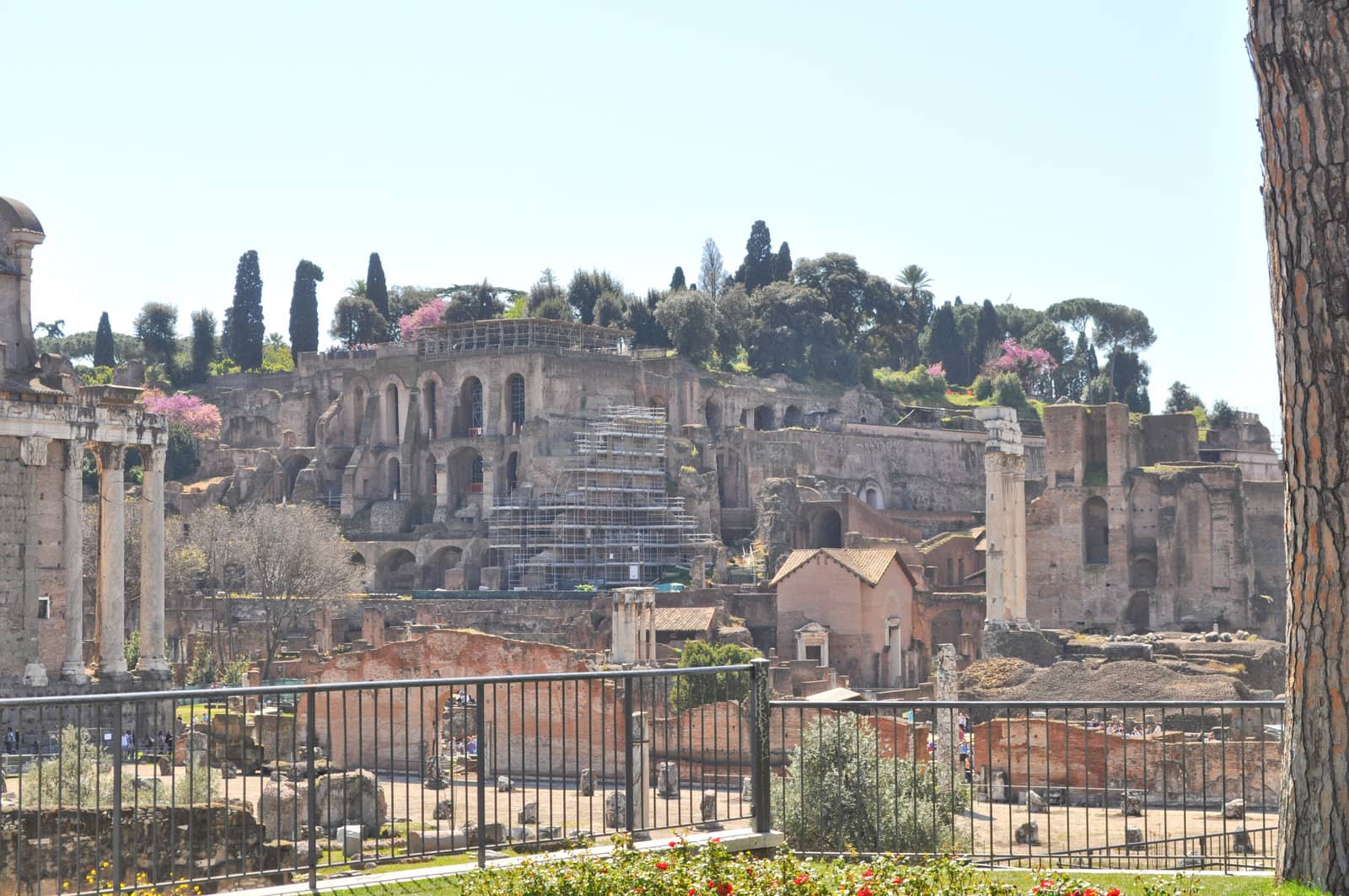 Ruins of the Roman Forum (Foro Romano) in Rome, Italy