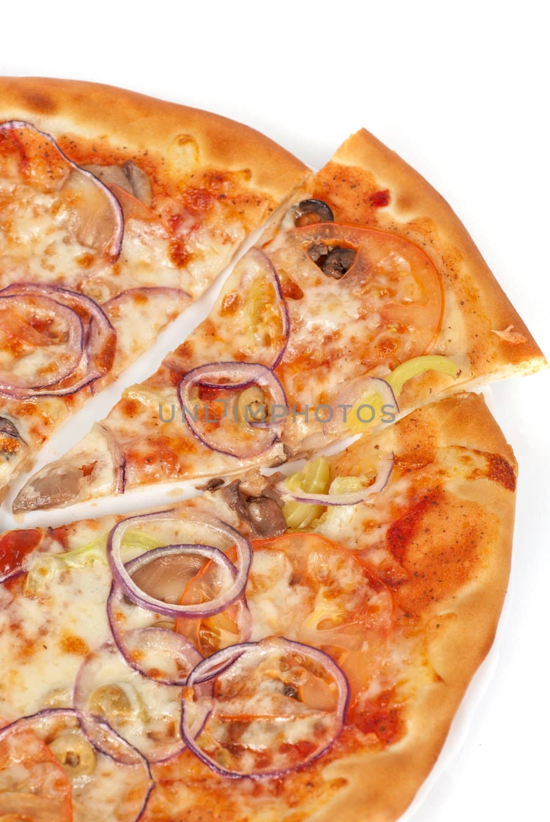vegetable pizza closeup with tomato, Bulgarian pepper, onion, olive, champignons and mozzarella cheese