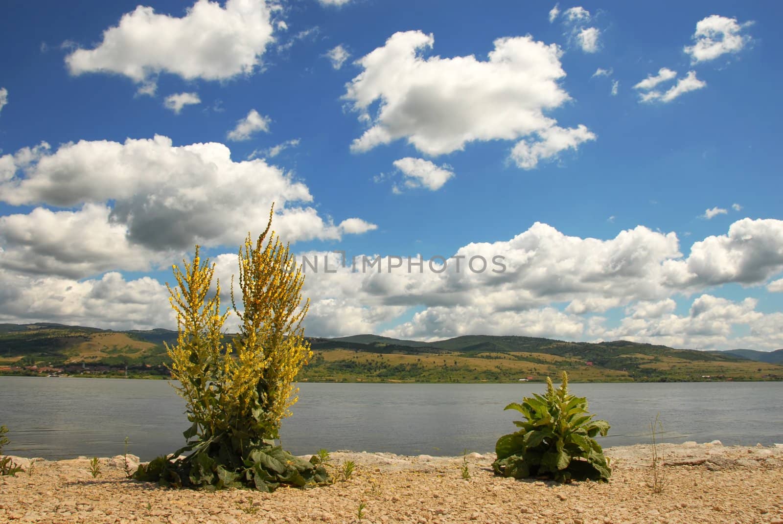 Danube riverbank in Serbia on border with Romania, landscape over scenic blue sky