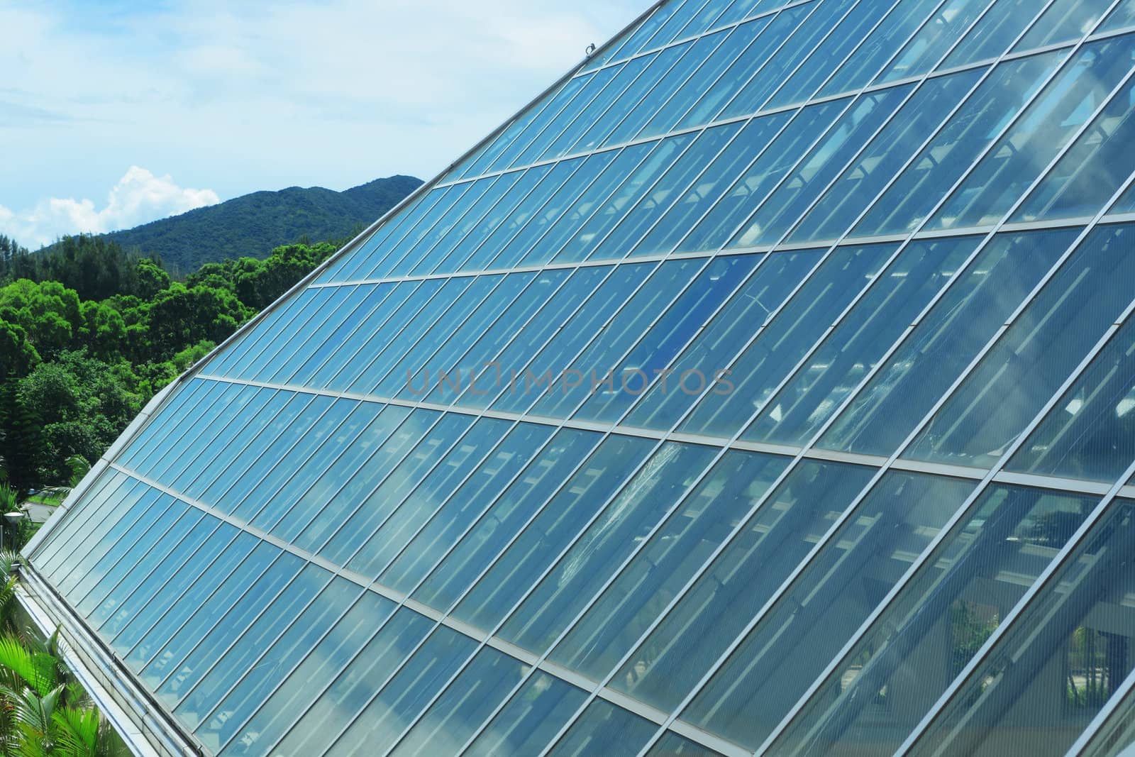 glass roof