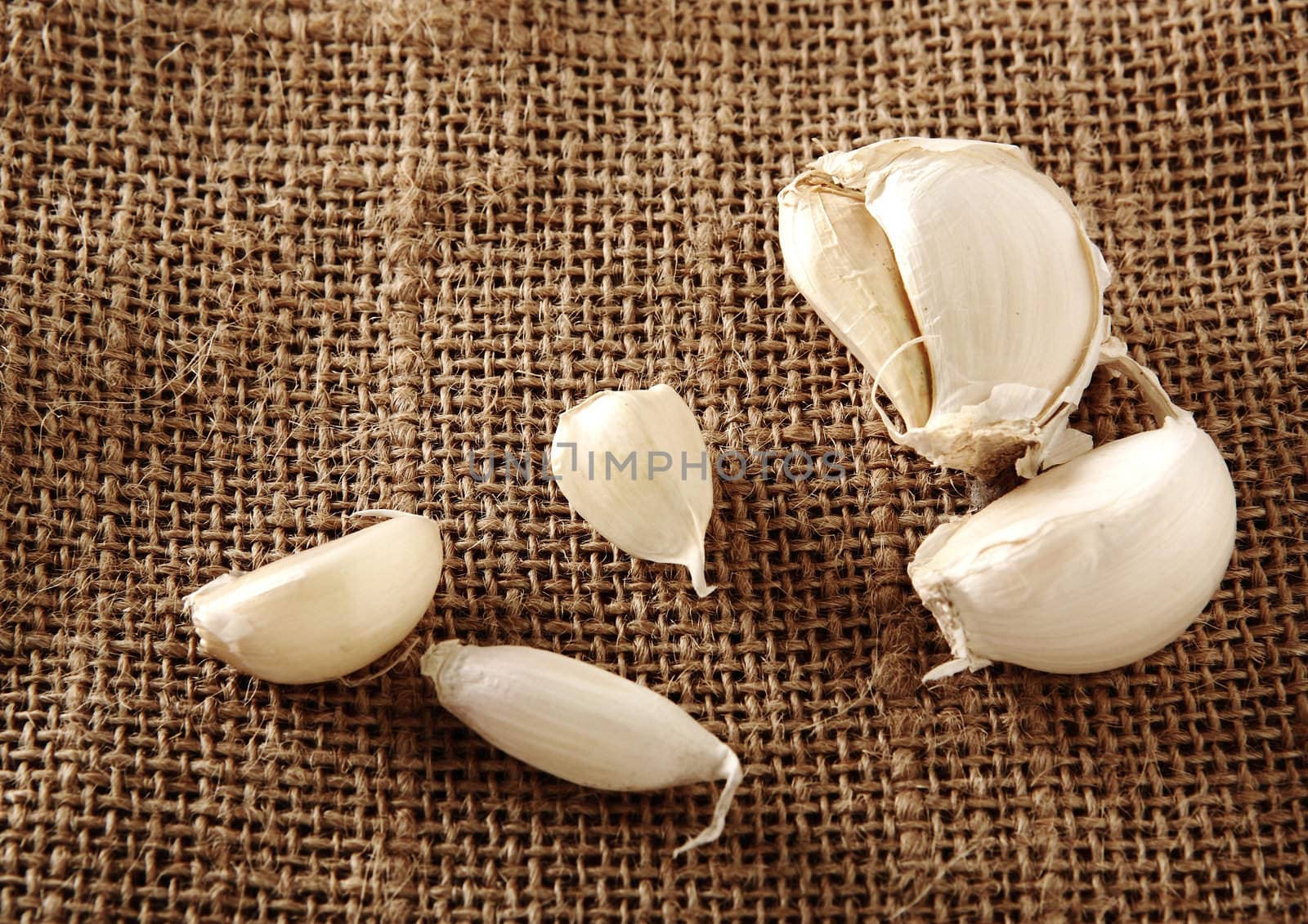 Garlic