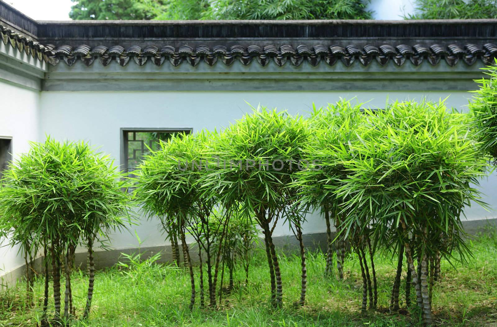 chinese garden