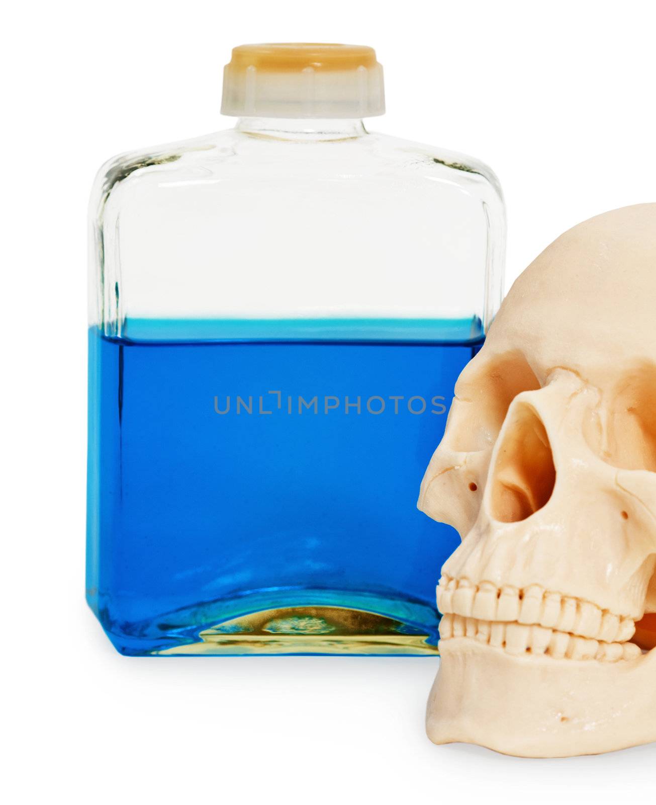 Still life - a bottle of poison and a human skull on white