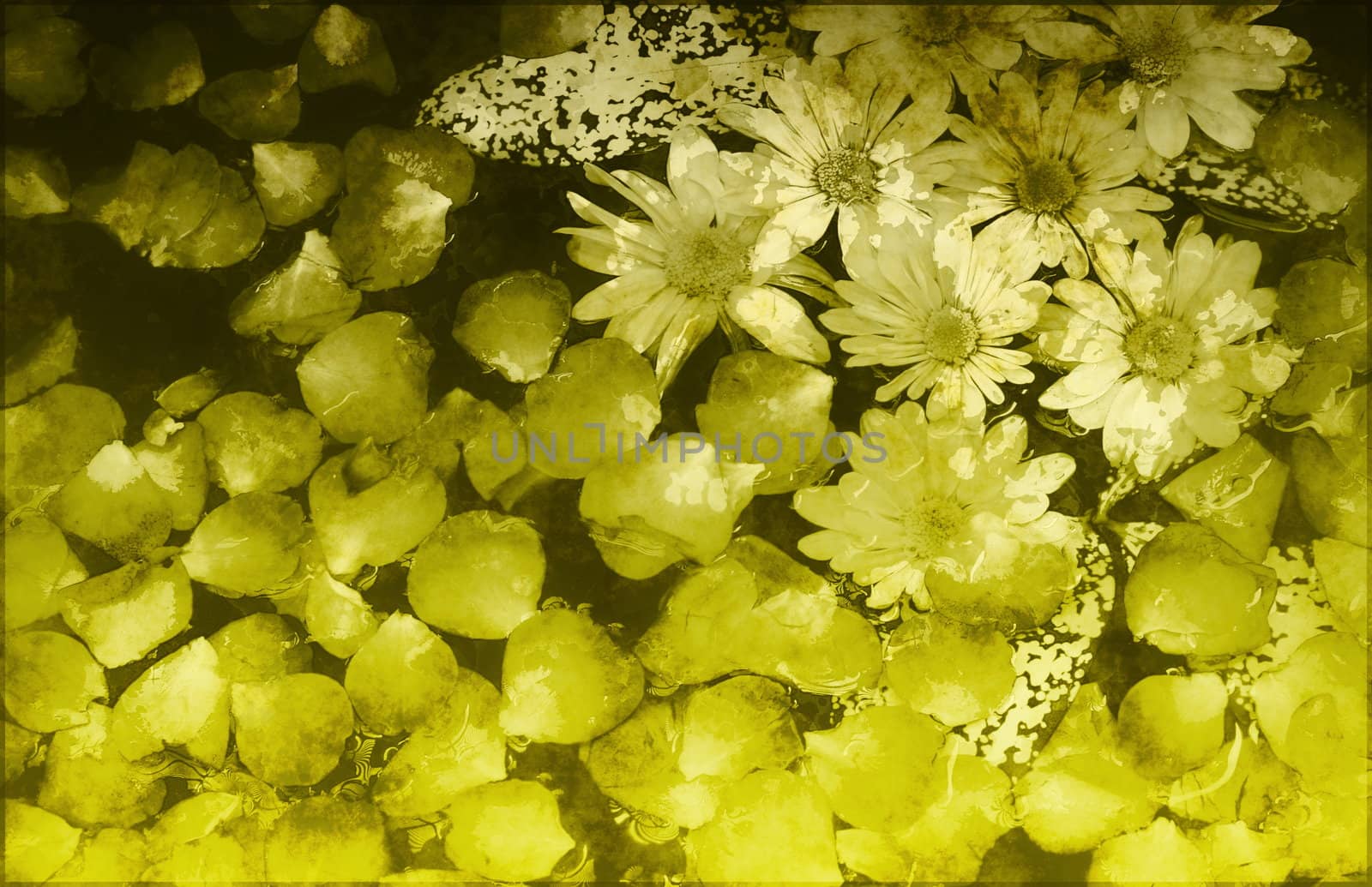 Fancy Floral Grunge Background Abstract a Art