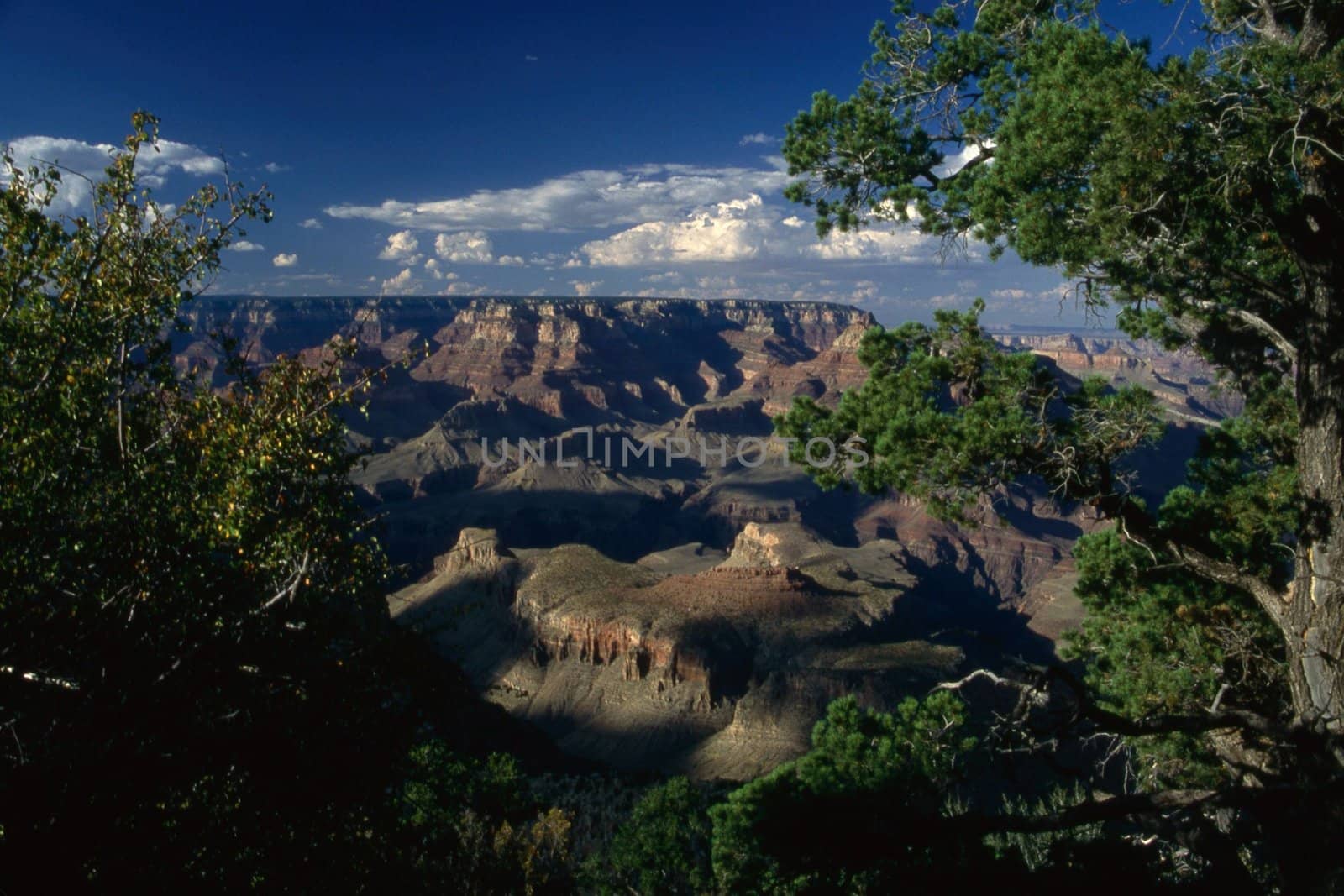 Grand Canyon, Arizona