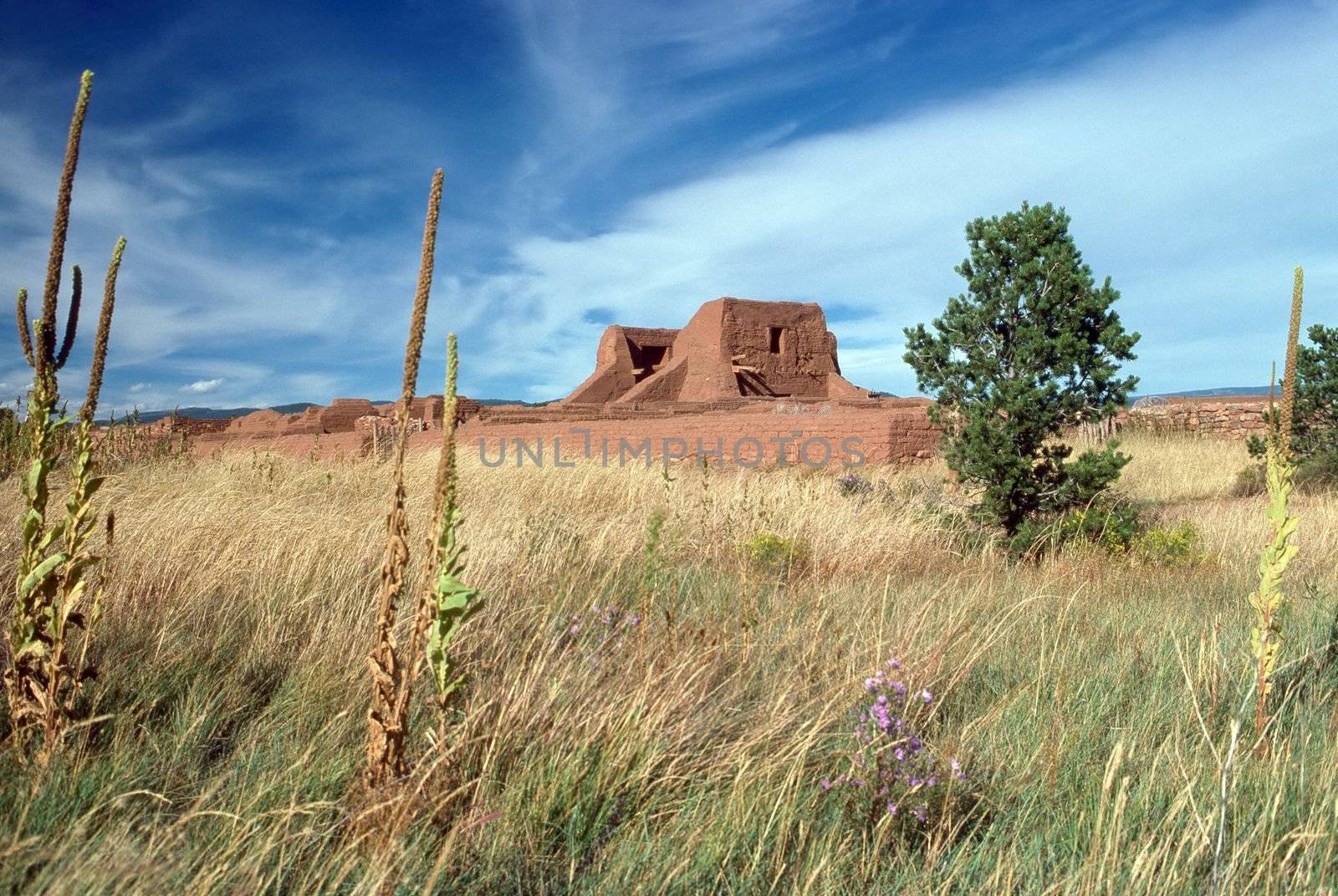 Pecos National Monument, New Mexico