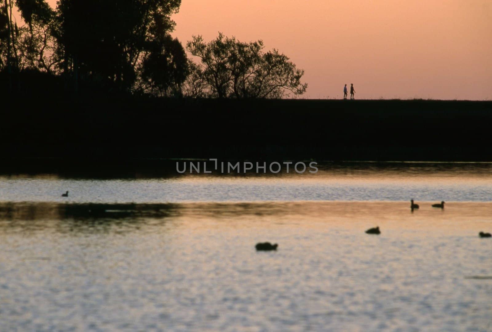 Walk by lake at sunset