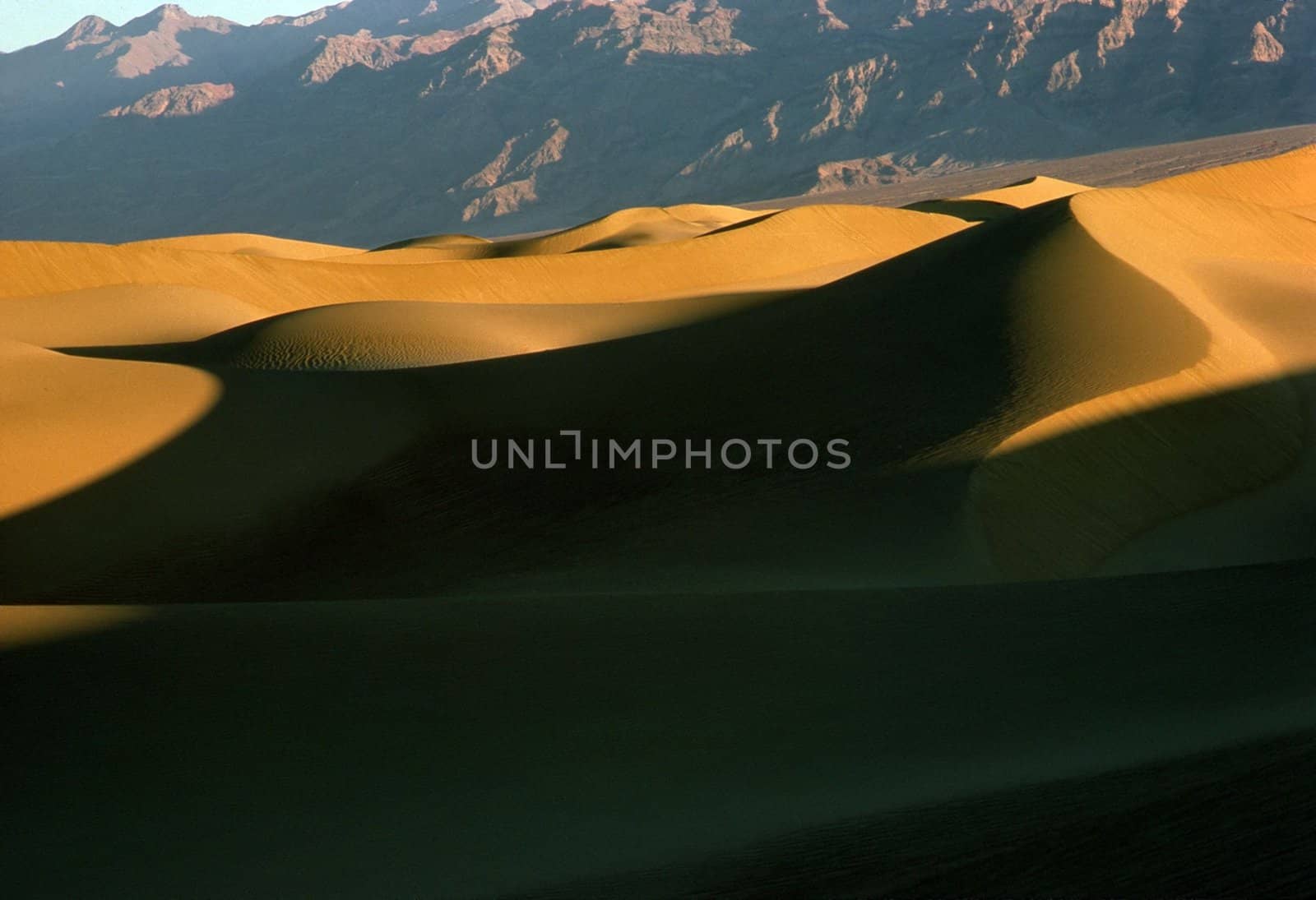 Sand Dunes by jol66