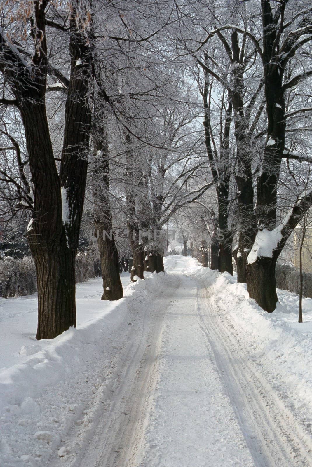 Snowy Road by jol66