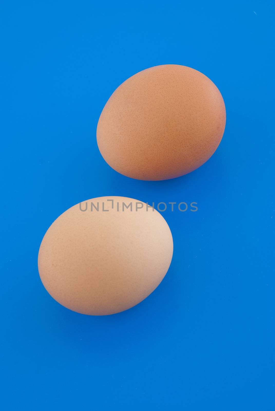 Two eggs isolated on blue background.