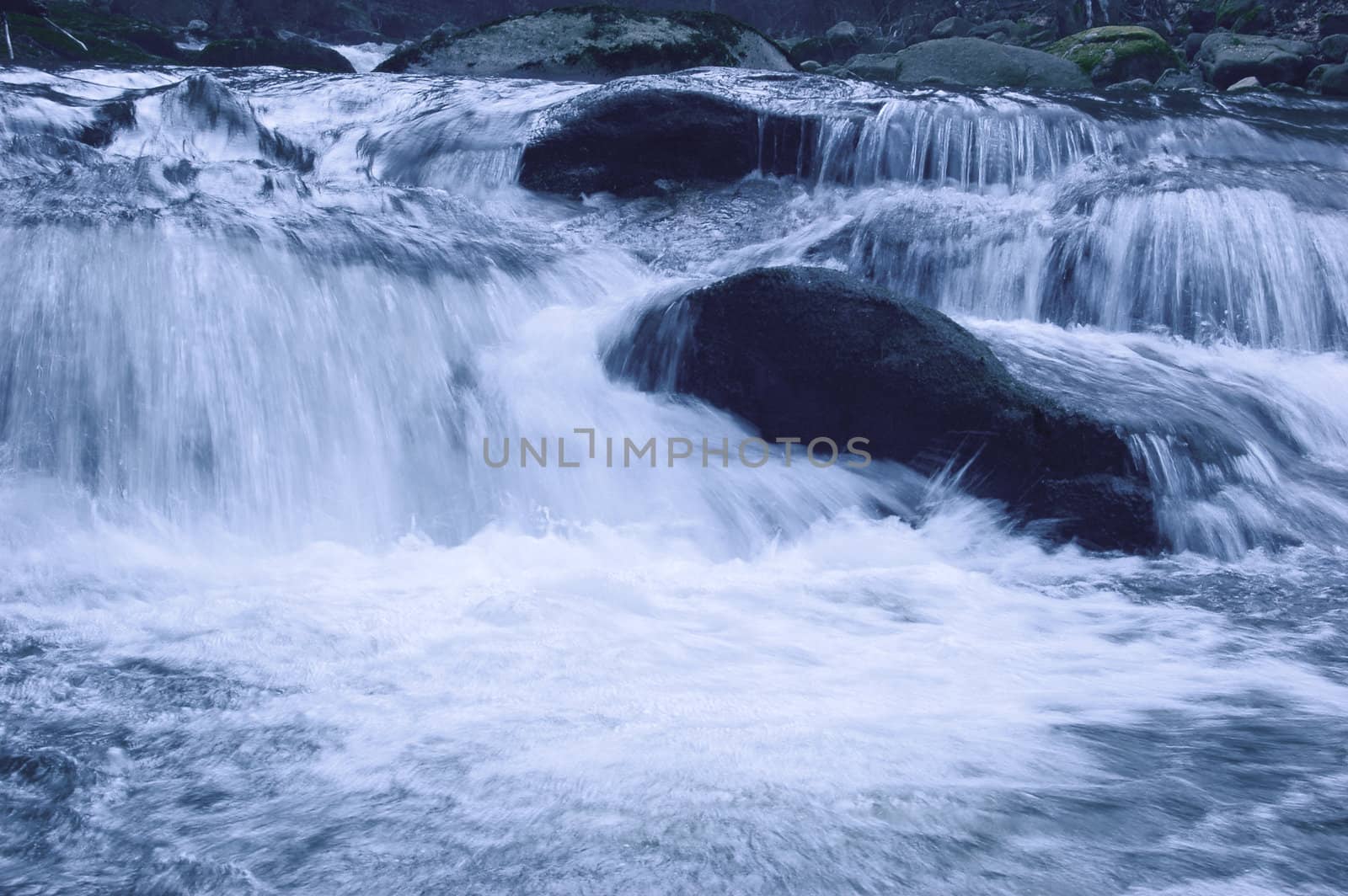 Stream in Sudety's mountains. Poland