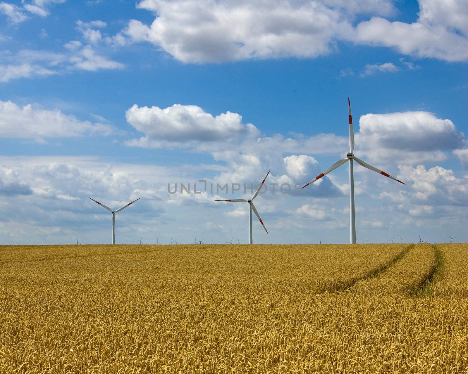 Wind farm under blue sky