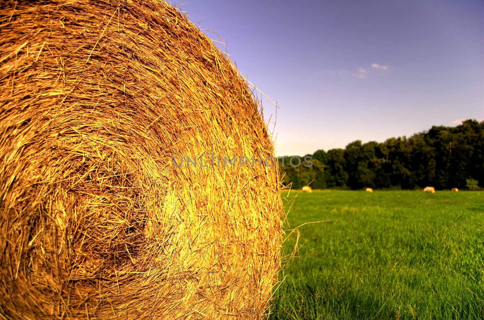 bale of straw on a green field