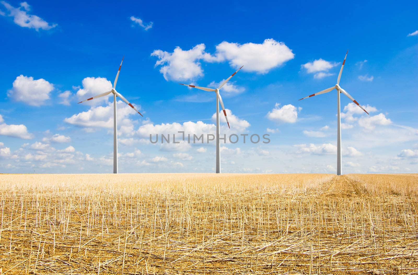 Wind farm under blue sky