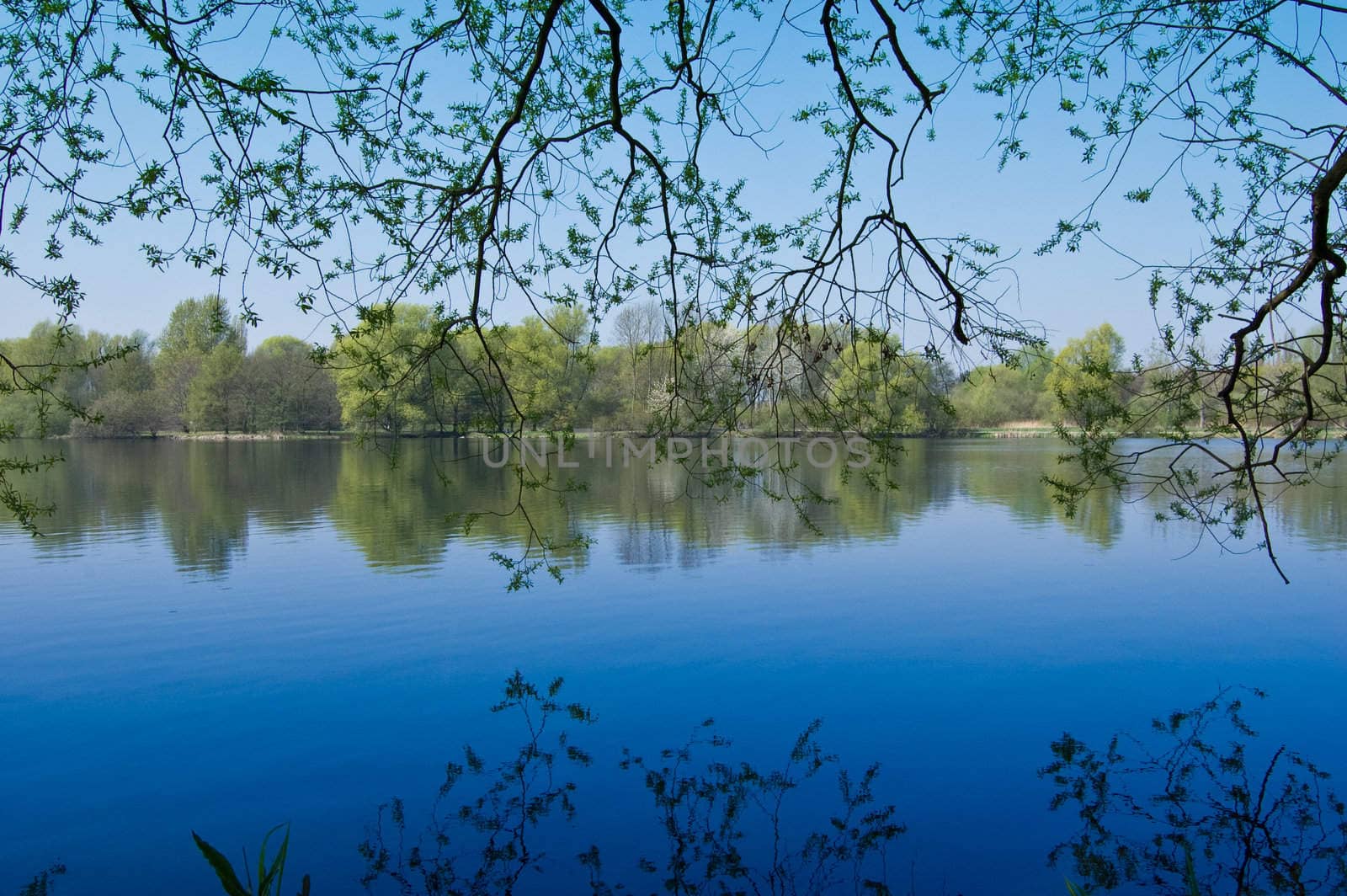 Mystic lake landscape with deep blue water