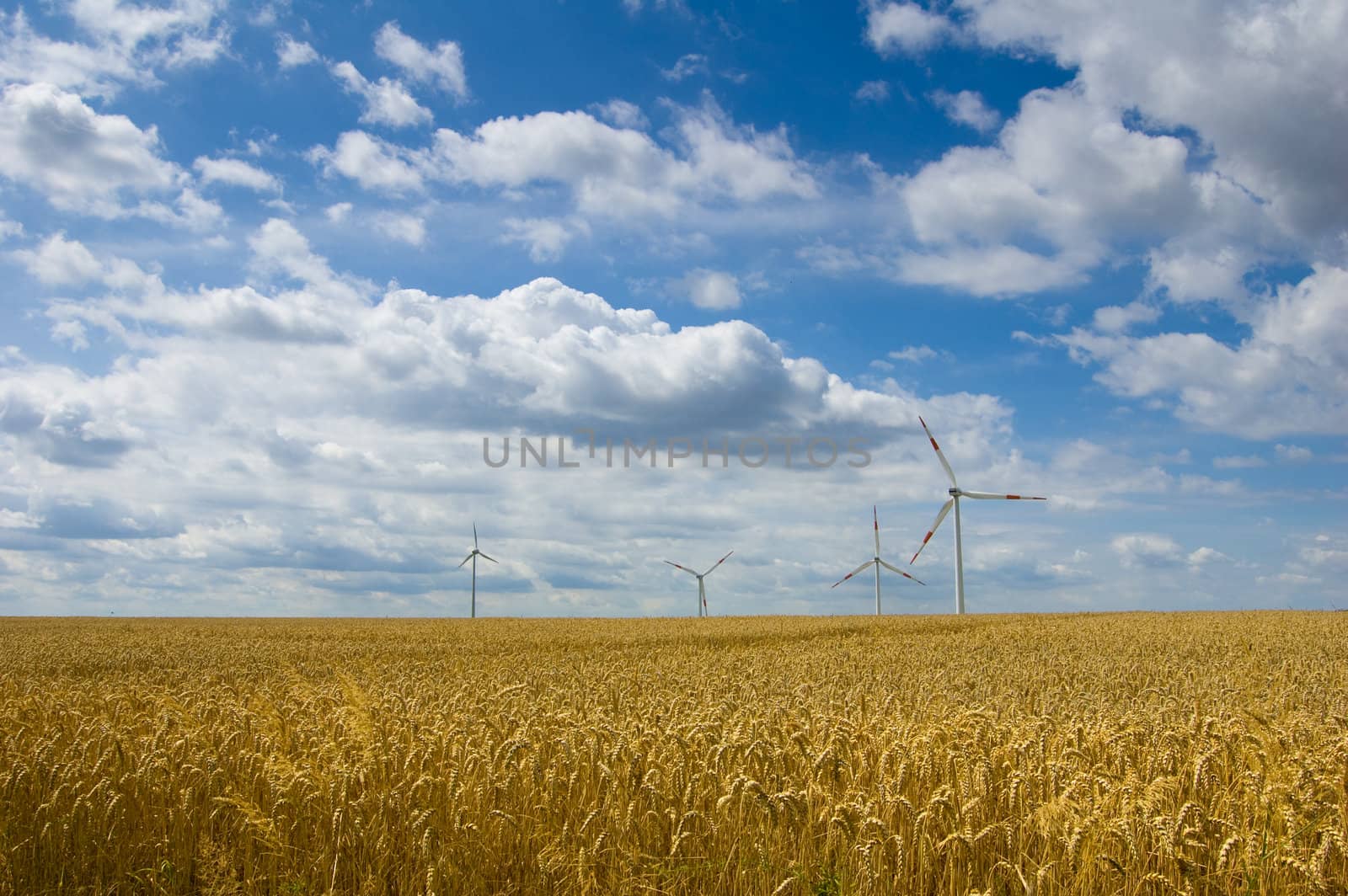 Wind farm 3 by froxx