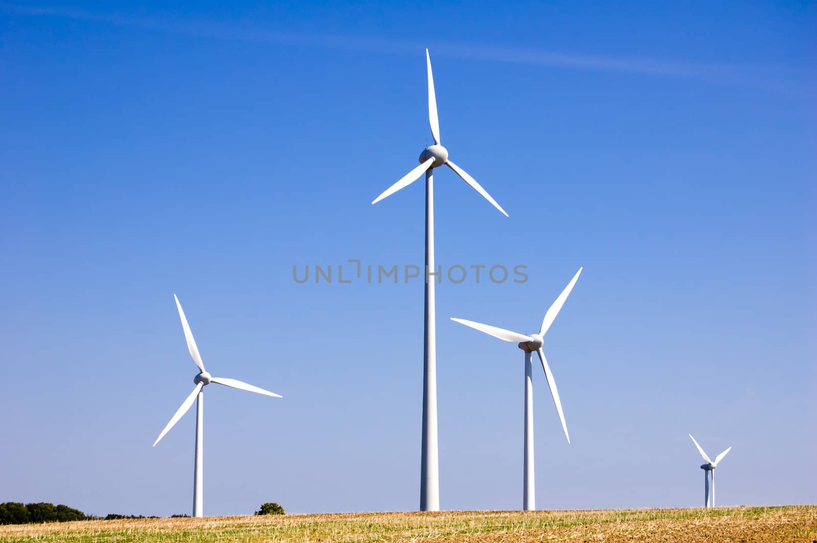 Wind farm 6 by froxx